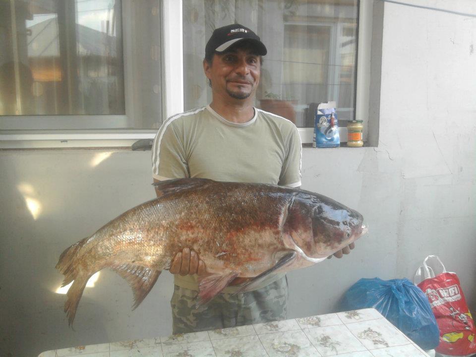 pescuit - 389517_301120473258364_1637096488_n.jpg